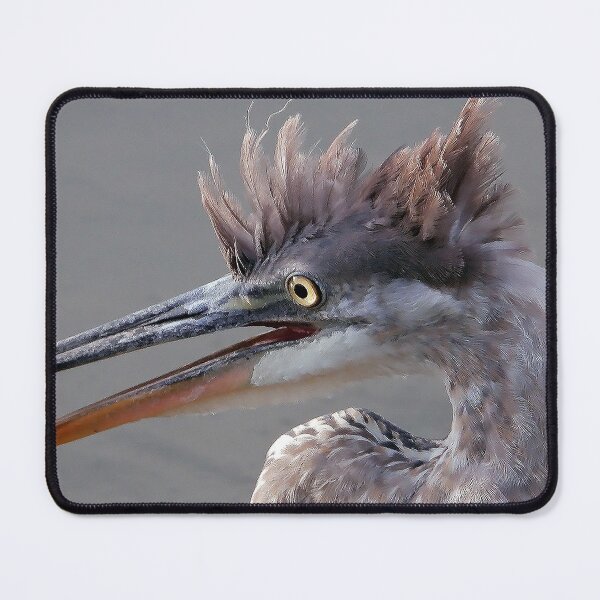 Item preview, Young Great Blue Heron II designed and sold by Jeffrey Mask.