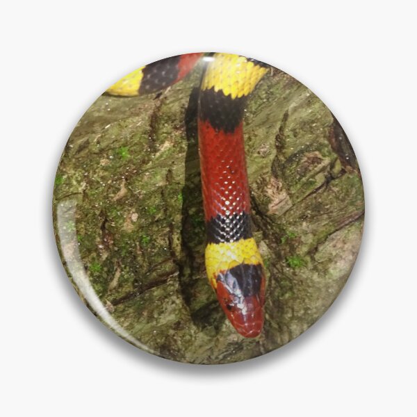 Item preview, Scarlet Kingsnake #2 designed and sold by Jeffrey Mask.