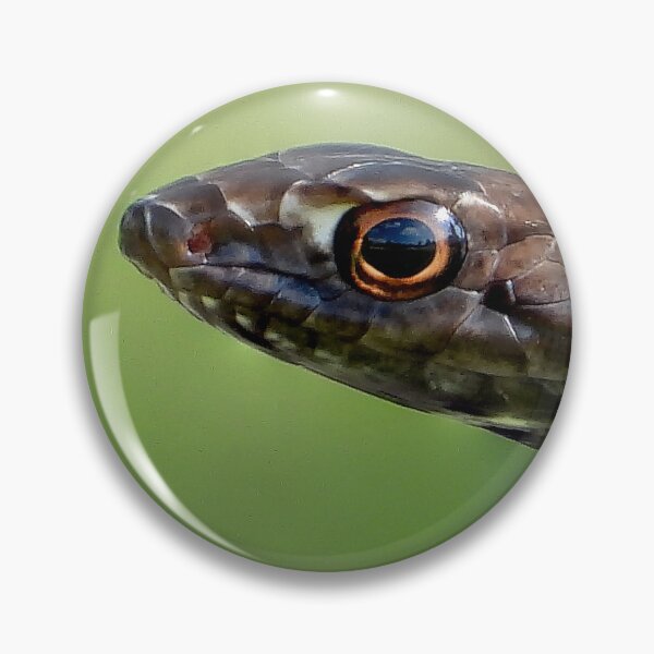 Artikelvorschau, Coachwhip entworfen und verkauft von Jeffrey Mask.