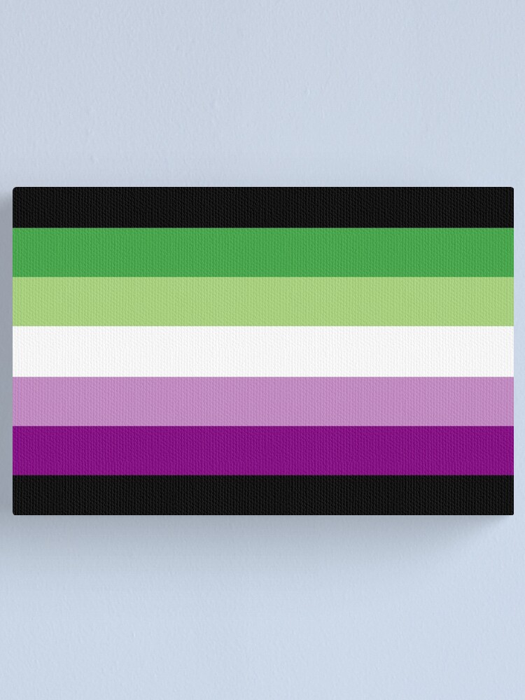 ♡aromantic♡ Aromantic Asexual Flag (White-Stripe Variant) - Aromantic