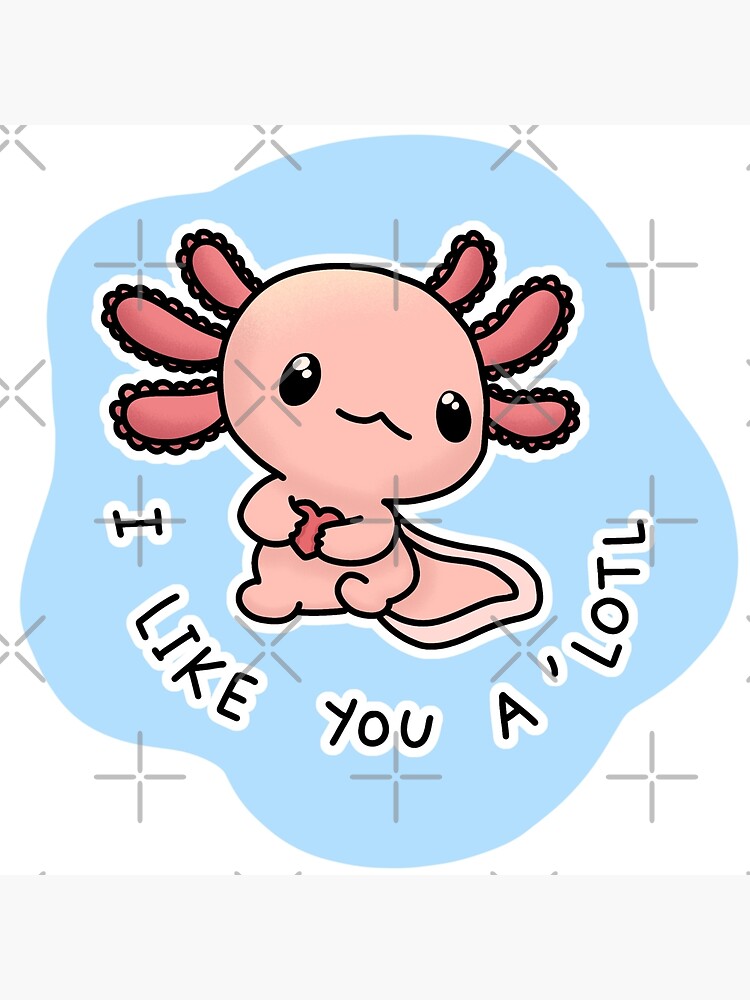 "Leucistic Axolotl "I like you a lotl" (Pink Axolotl)" Photographic