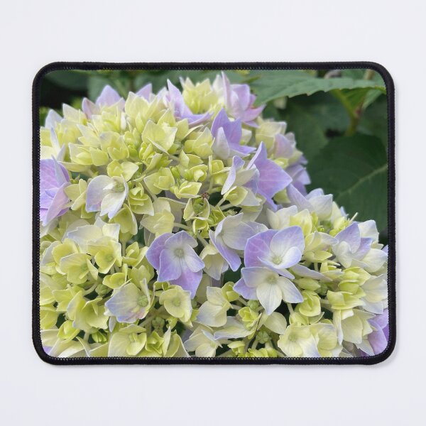Item preview, Vintage Florals 2022 #8- Endless Summer  designed and sold by Timstarstudio.
