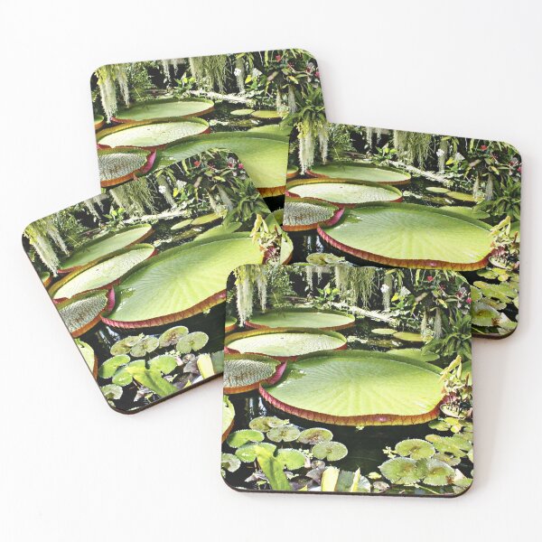 Item preview, Victoria Amazonica | Water Lily | Flowers designed and sold by Khan-Baba.