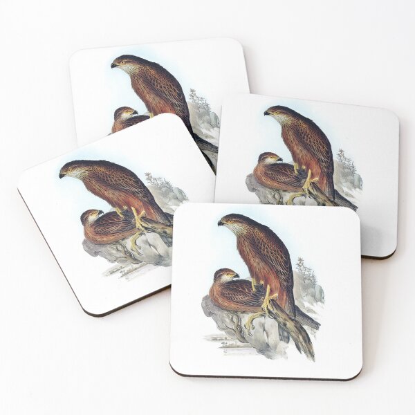 Item preview, Radiated Goshawk (Astur radintus) designed and sold by ShopThousand.