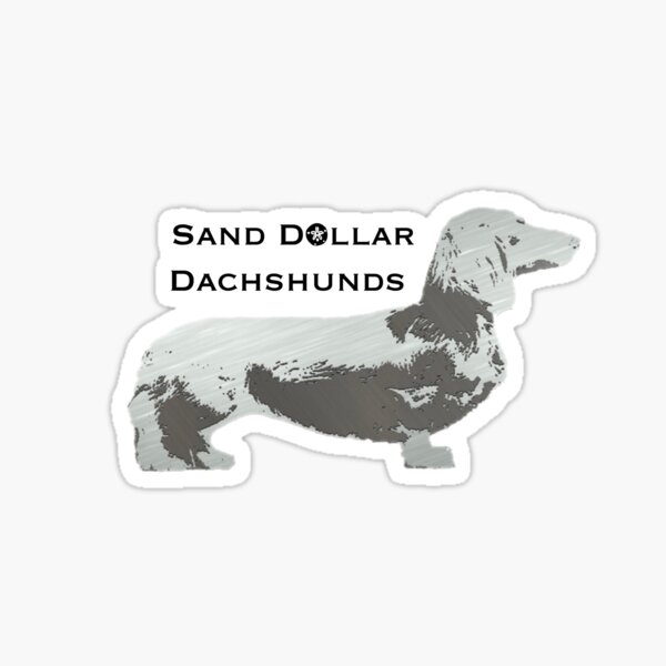 Sand Dollar Dachshunds Sticker
