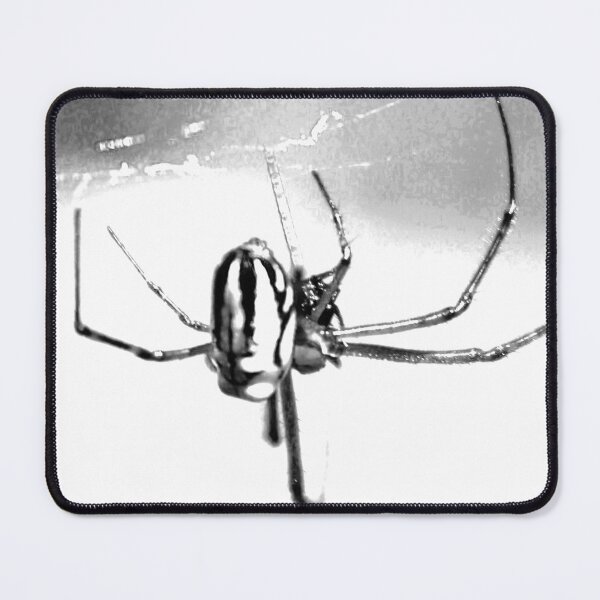 Artikelvorschau, The Bush Spider ! entworfen und verkauft von Mickangelhere.