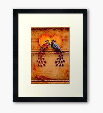 Love Birds Framed Print