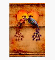 Love Birds Photographic Print