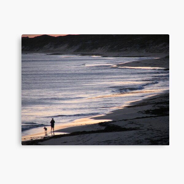 Sombre Stroll Canvas Print