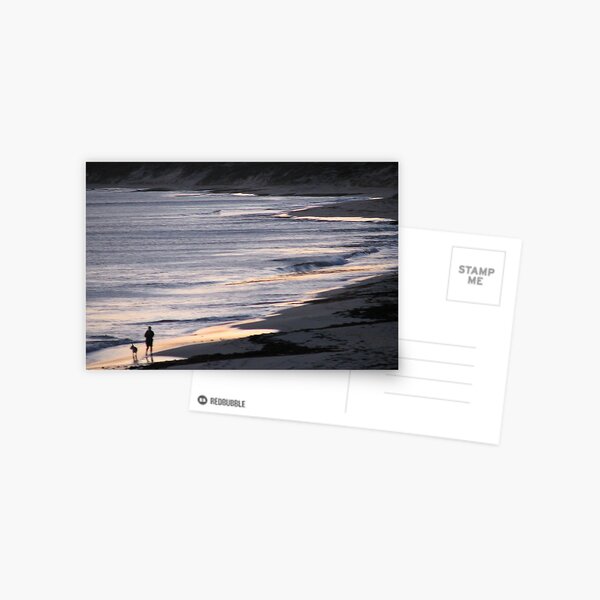 Sombre Stroll Postcard