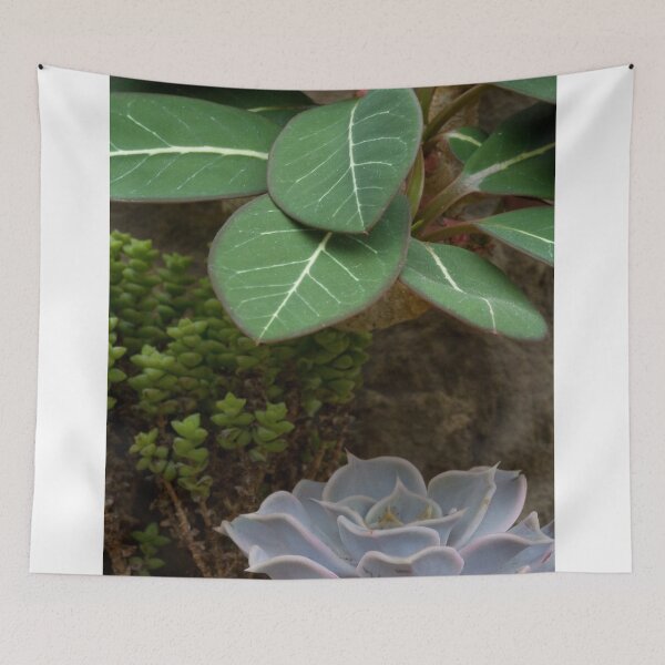 Item preview, Like a Rose in the Desert designed and sold by Adam Bykowski.