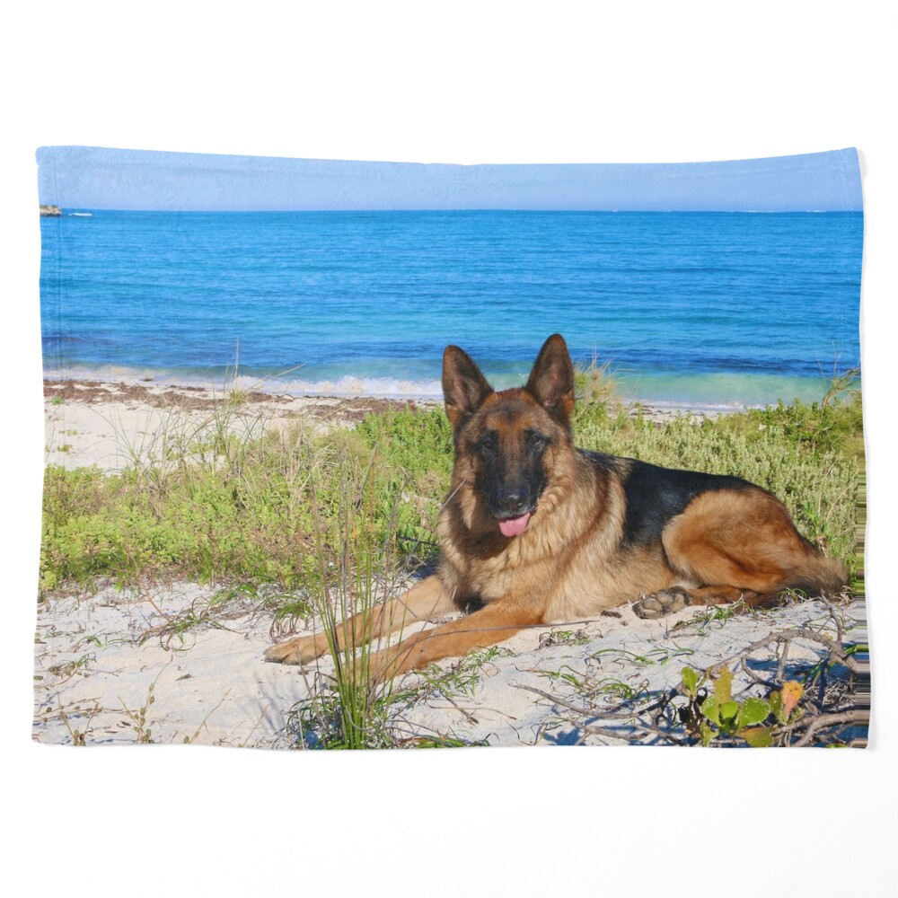 https://ih1.redbubble.net/image.3669412953.3426/ur,pet_blanket_small_flatlay_srp,square,1000x1000.u1.jpg