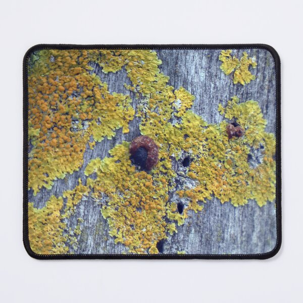 Item preview, Yellow Moss designed and sold by Harrison Lucas.