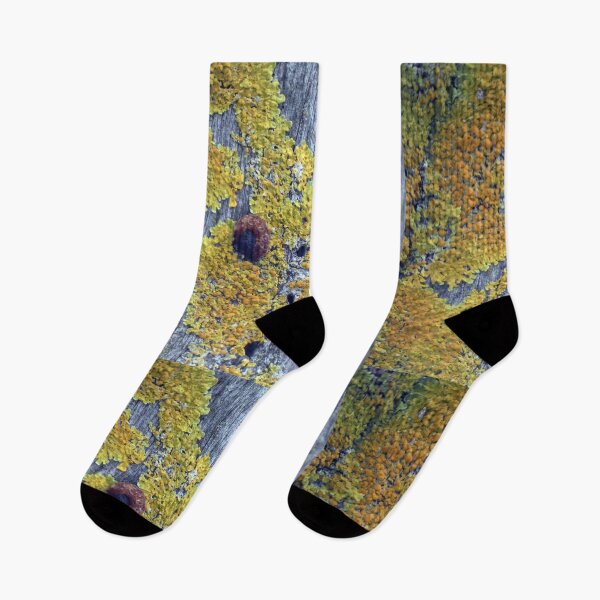 Item preview, Yellow Moss designed and sold by Harrison Lucas.