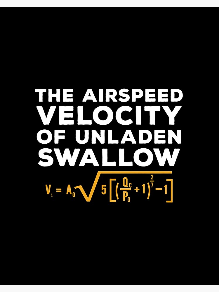 Funny Airspeed Velocity Of An Unladen Swallow T-Shirt Maths Funny Airspeed Velocity Of An Unladen Swallow T-Shirt Maths