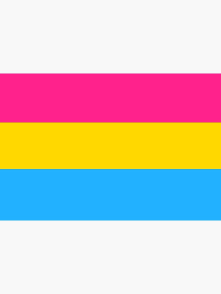 Pan Pansexual Pride Flag Queer Lgbt Poster For Sale By Vincentsplace Redbubble 