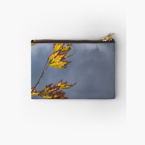 Item preview, Ragged Flags designed and sold by metriognome.