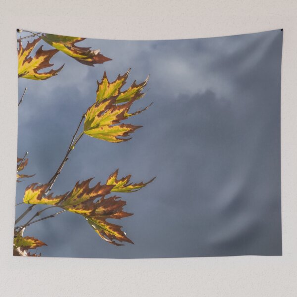 Item preview, Ragged Flags designed and sold by metriognome.