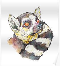 RING-TAILED LEMUR Poster
