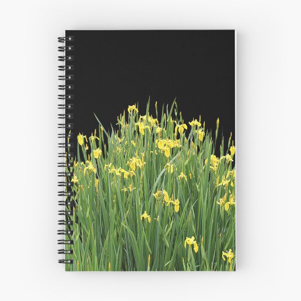 Item preview, petaled flowers, Iris pseudacorus Aquatic plant Sweet flag Nelumbo designed and sold by nichoandrews.