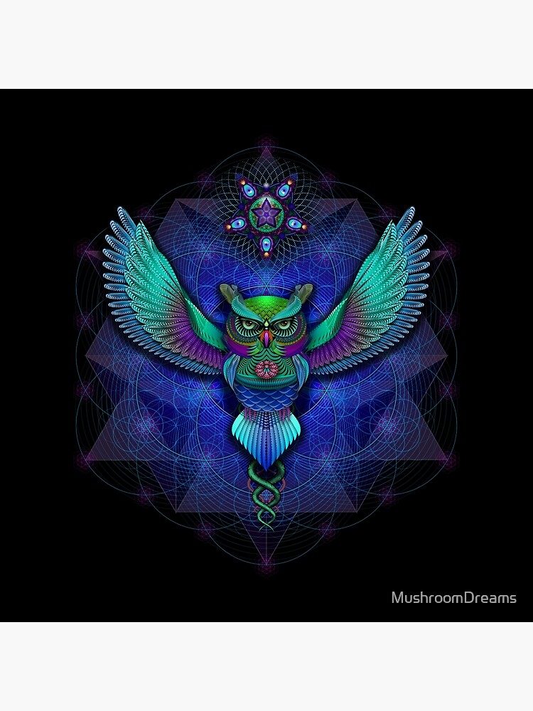 Sacred Geometry Owl Canvas Print For Sale By Mushroomdreams Redbubble