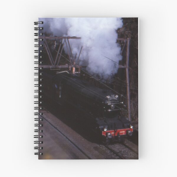 Item preview, Flying Scotsman & 3801, Bowenfels 19890625 designed and sold by muz2142.