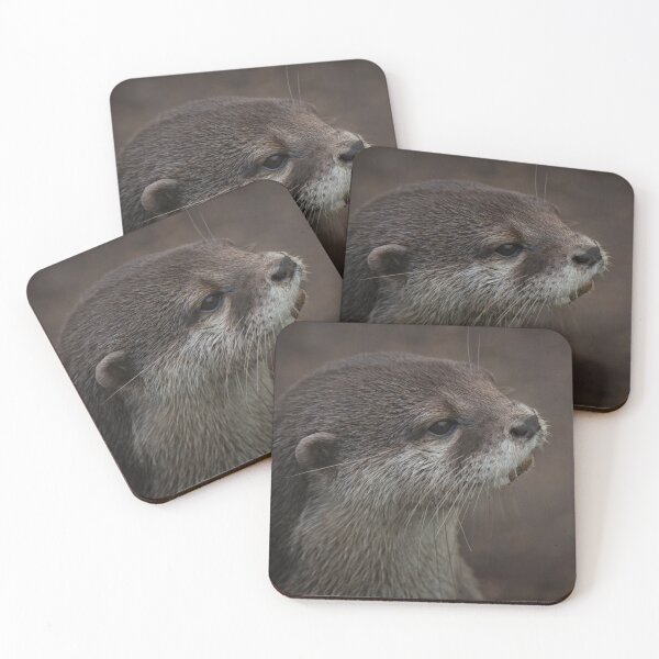 Item preview, Portrait Of A Young Otter designed and sold by rawshutterbug.