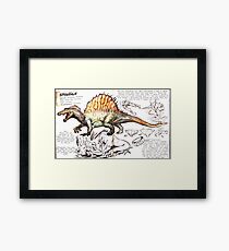 Spino Framed Print