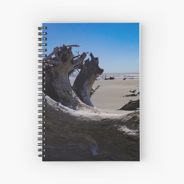 Item preview, Boneyard Beach: Capers Island, South Carolina designed and sold by Jacqueline Cooper.