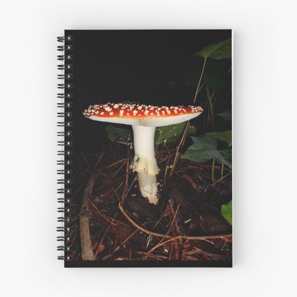 Artikelvorschau, Amanita Muscaria entworfen und verkauft von WillowTeaHouse.
