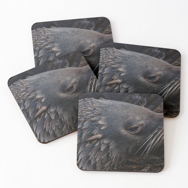 Item preview, Close-Up Fur Seal designed and sold by rawshutterbug.