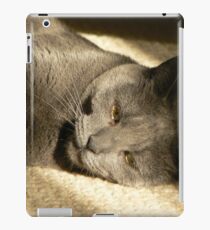 Willow iPad Case/Skin