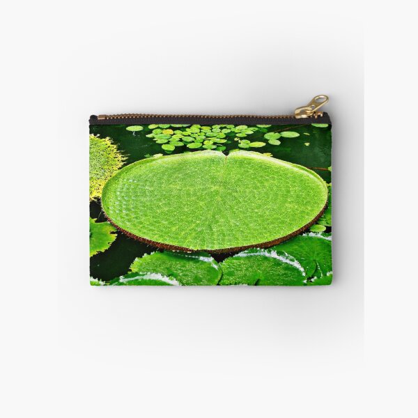 Item preview, Victoria Amazonica | Water Lily | Water Lily Leaf | Flowers designed and sold by Khan-Baba.