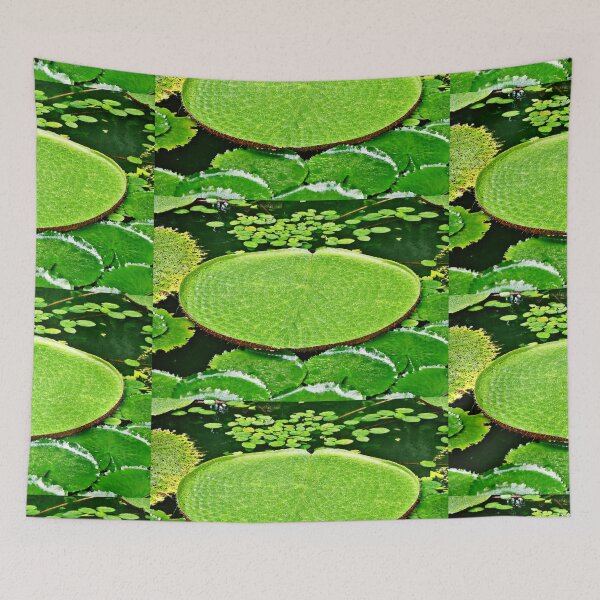 Item preview, Victoria Amazonica | Water Lily | Water Lily Leaf | Flowers designed and sold by Khan-Baba.