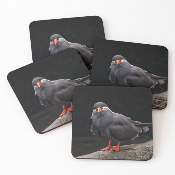 Item preview, Inca Tern Sea Bird designed and sold by rawshutterbug.