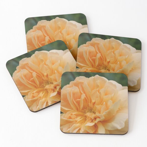 Item preview, Apricot Rose designed and sold by smh2.