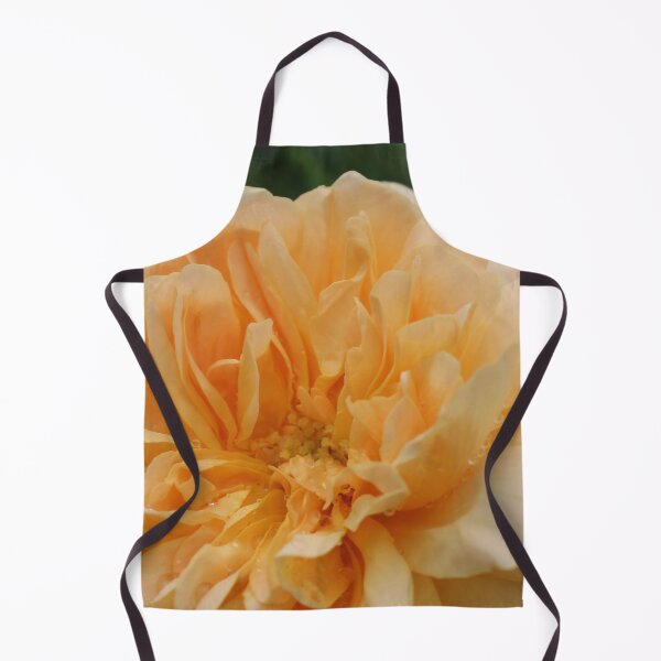 Item preview, Apricot Rose designed and sold by smh2.