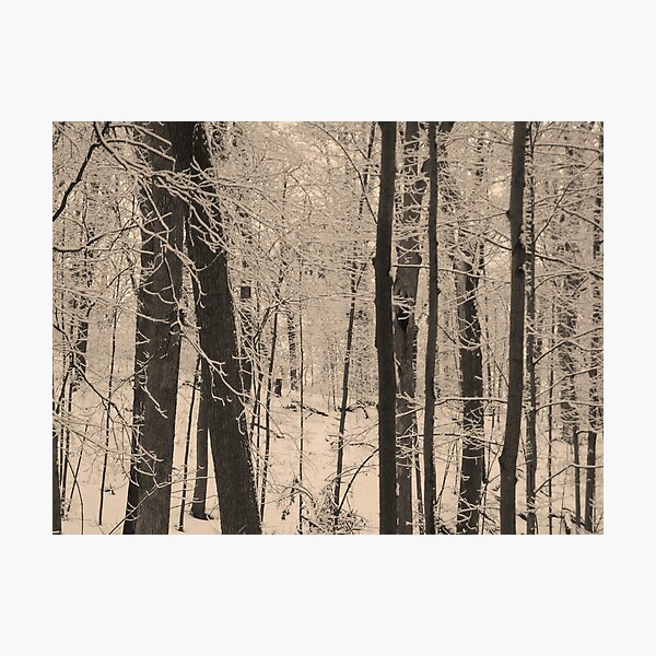 Item preview, Winter Forest designed and sold by cathyklima.