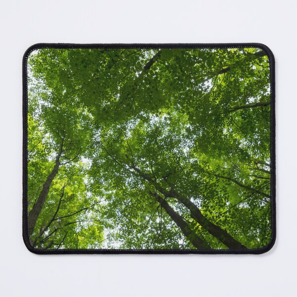 Item preview, Natural Skylights - Biophilic Ceiling in the Woods designed and sold by Georgia Mizuleva.