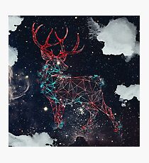 Celestial Deer Photographic Print