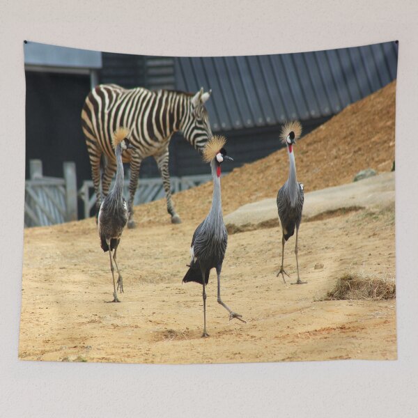 Item preview, Walking My Way? designed and sold by Vicki Spindler (VHS Photography).