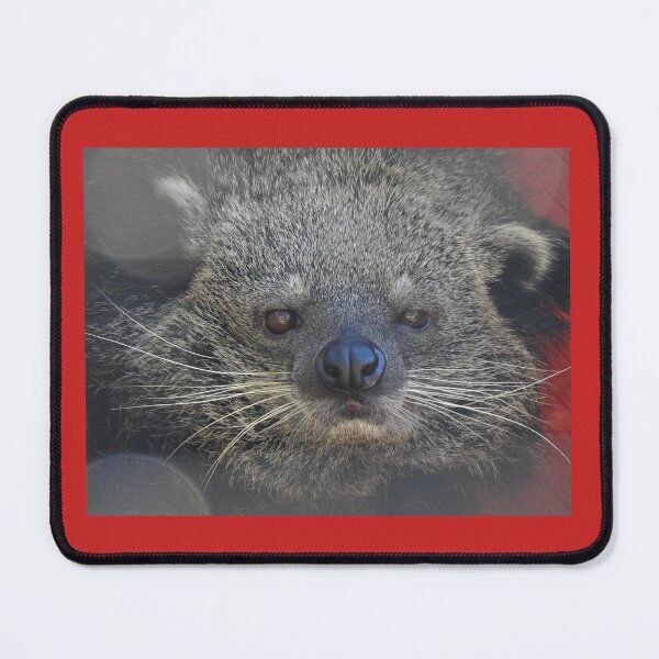 Item preview, Binturong (Bearcat) designed and sold by andrew82984.