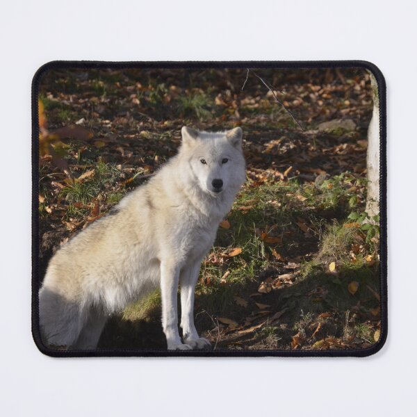 Item preview, Wolf designed and sold by Steve Stones.