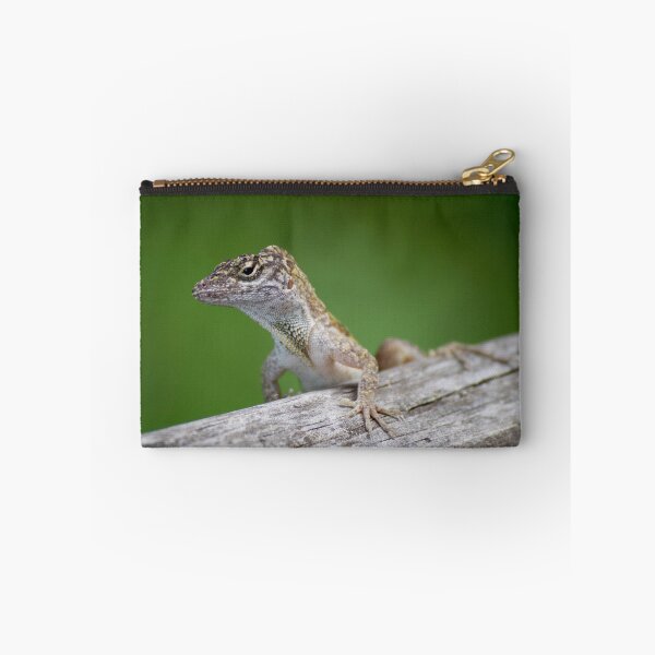 Aperçu de l'œuvre Anole créée et vendue par GatorguyArt.