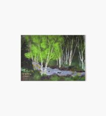 Birches at Blowout Creek Art Board