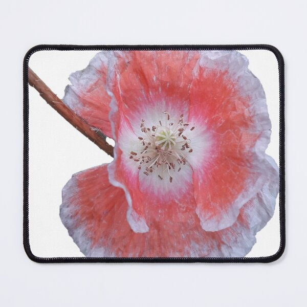 Item preview, KABFA Designs and Volksbolts, Vintage English Country Garden, peach and white poppy, Flowers, flower, designed and sold by KABFA Designs.