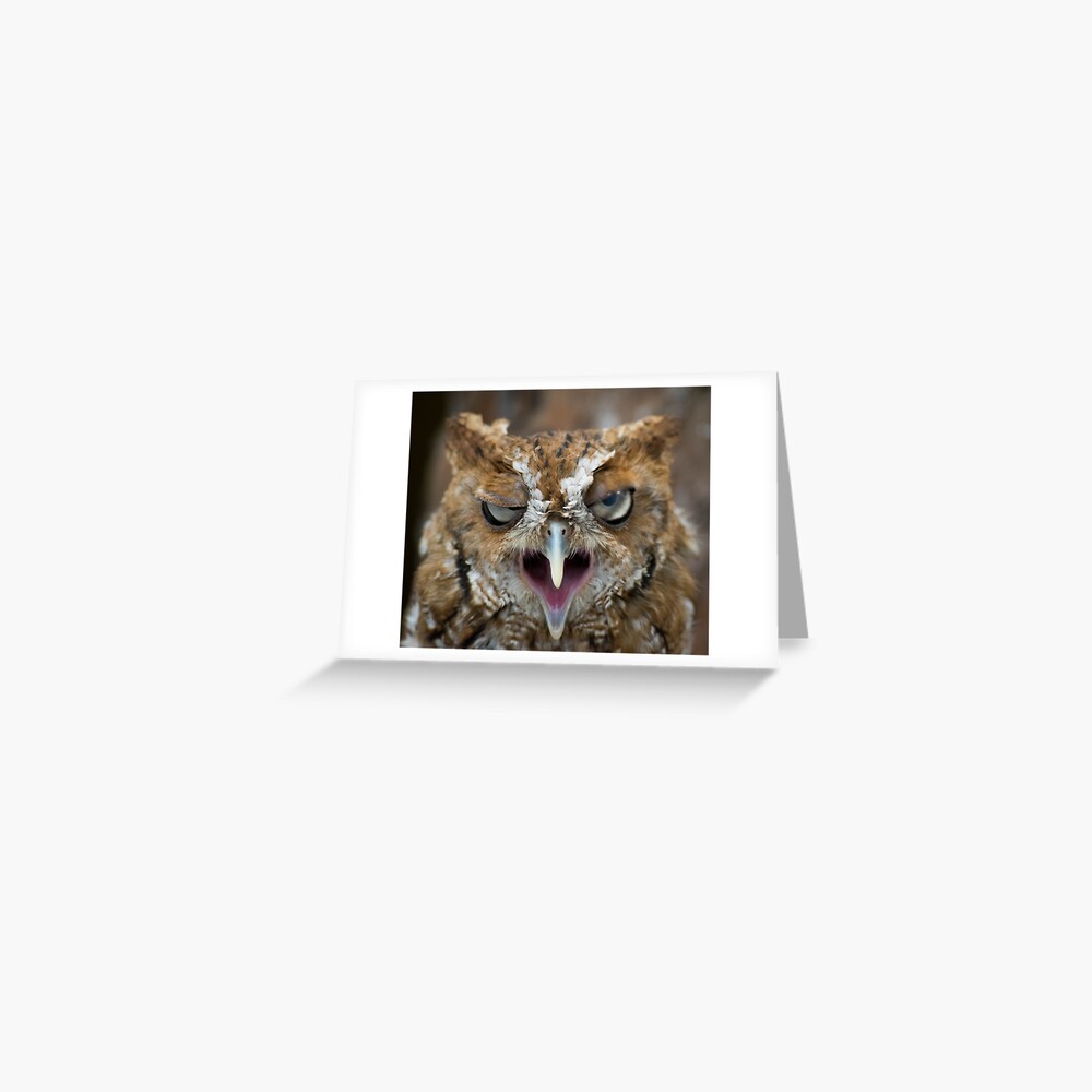 Keep it fresh Blank Card – screech owl design