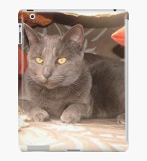 Willow iPad Case/Skin