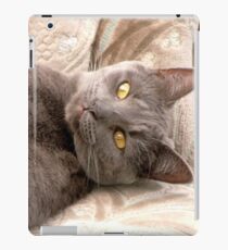 Willow iPad Case/Skin