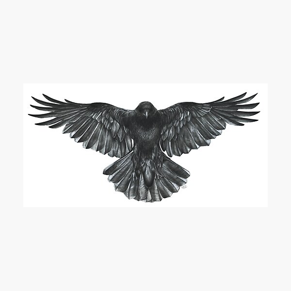 Item preview, Crow in Flight designed and sold by Cataclysm.Studio.